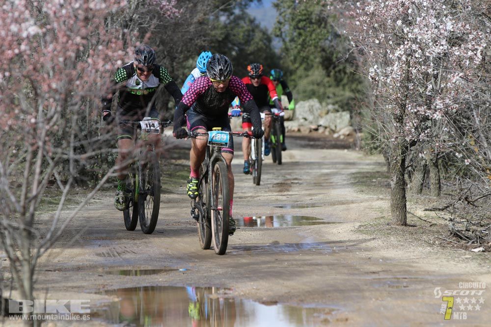 Ruta de la miel. Colmenarejo. Circuito Scott 7 Estrellas 2018. Galería 1