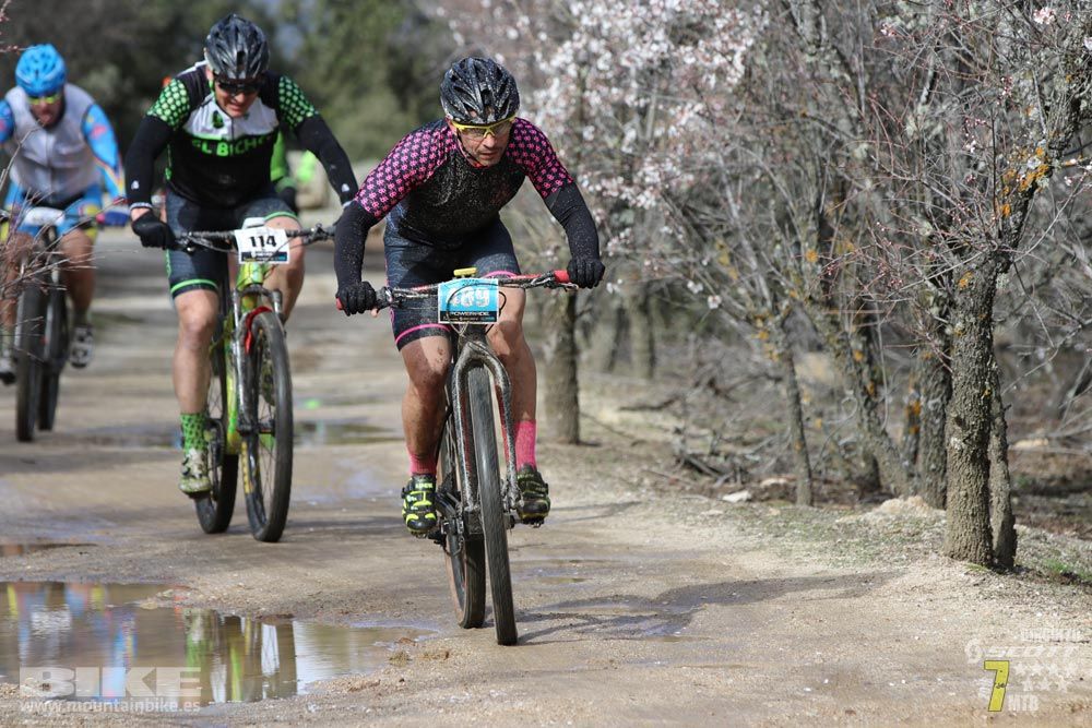 Ruta de la miel. Colmenarejo. Circuito Scott 7 Estrellas 2018. Galería 1