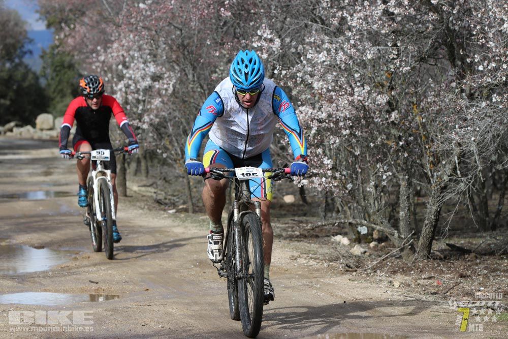 Ruta de la miel. Colmenarejo. Circuito Scott 7 Estrellas 2018. Galería 1
