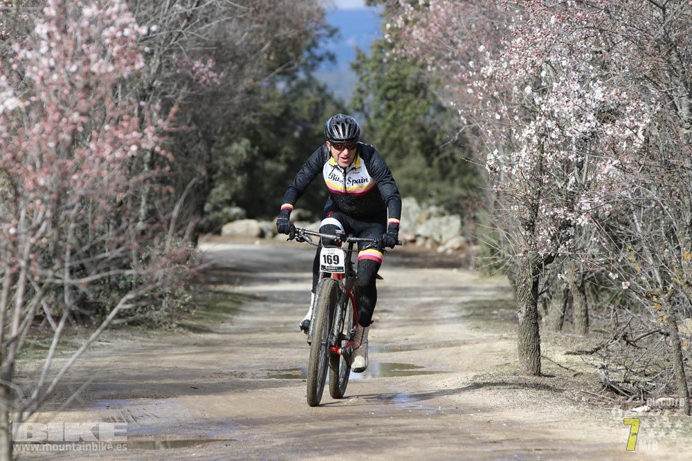 Ruta de la miel. Colmenarejo. Circuito Scott 7 Estrellas 2018. Galería 1