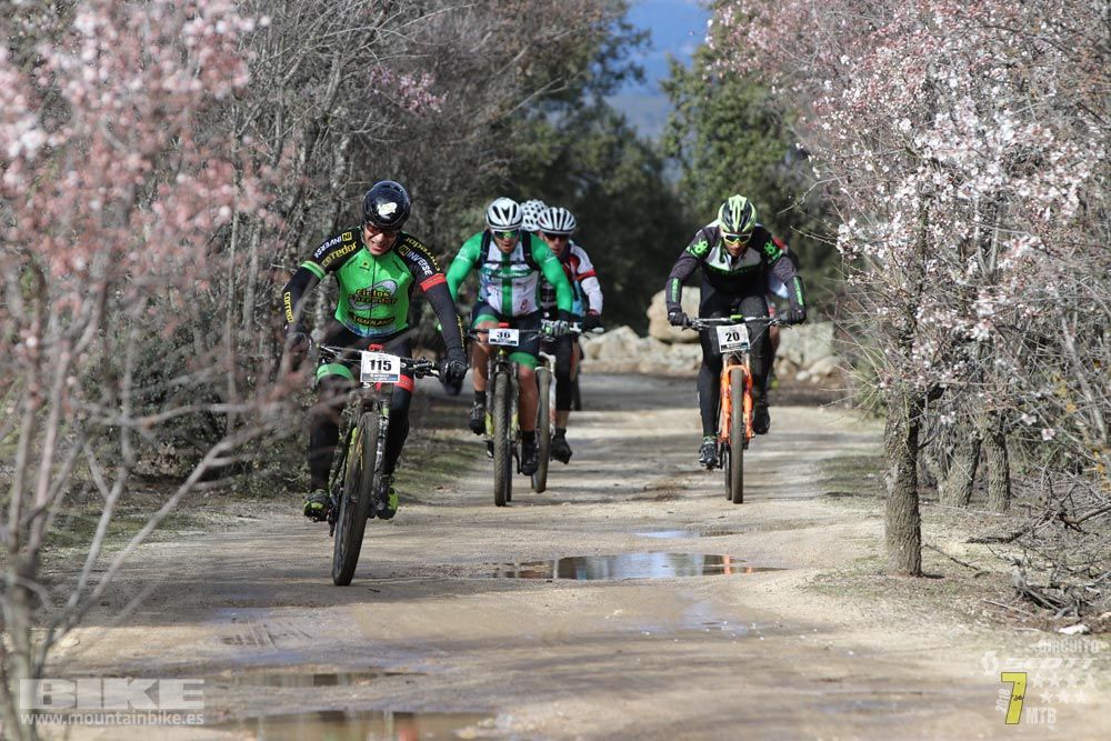 Ruta de la miel. Colmenarejo. Circuito Scott 7 Estrellas 2018. Galería 1