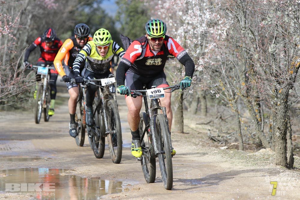 Ruta de la miel. Colmenarejo. Circuito Scott 7 Estrellas 2018. Galería 1