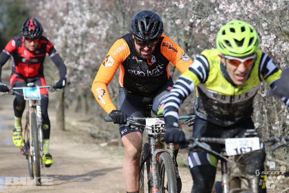 Ruta de la miel. Colmenarejo. Circuito Scott 7 Estrellas 2018. Galería 1