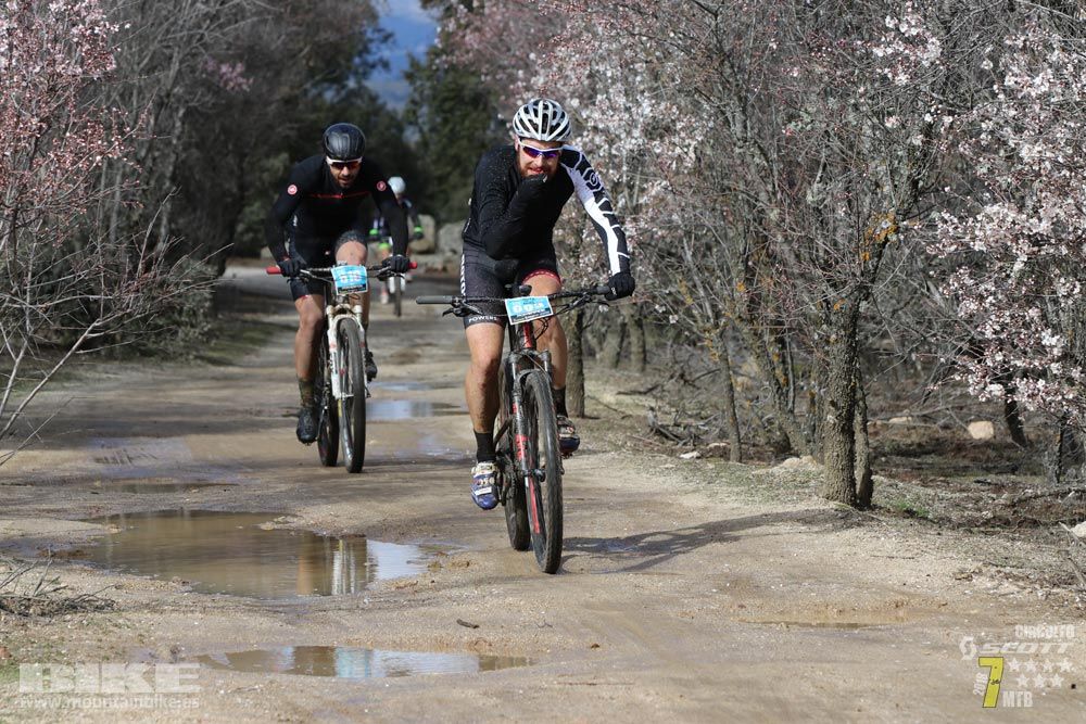 Ruta de la miel. Colmenarejo. Circuito Scott 7 Estrellas 2018. Galería 1