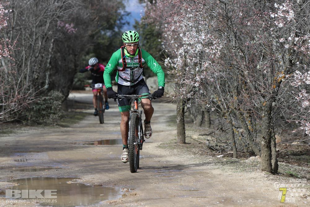 Ruta de la miel. Colmenarejo. Circuito Scott 7 Estrellas 2018. Galería 1