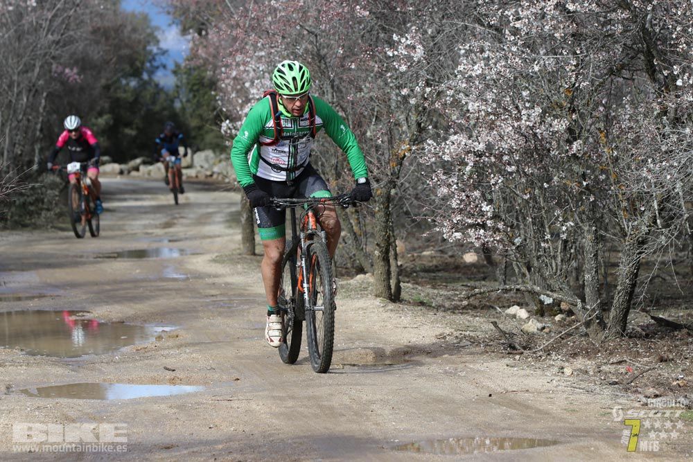 Ruta de la miel. Colmenarejo. Circuito Scott 7 Estrellas 2018. Galería 1