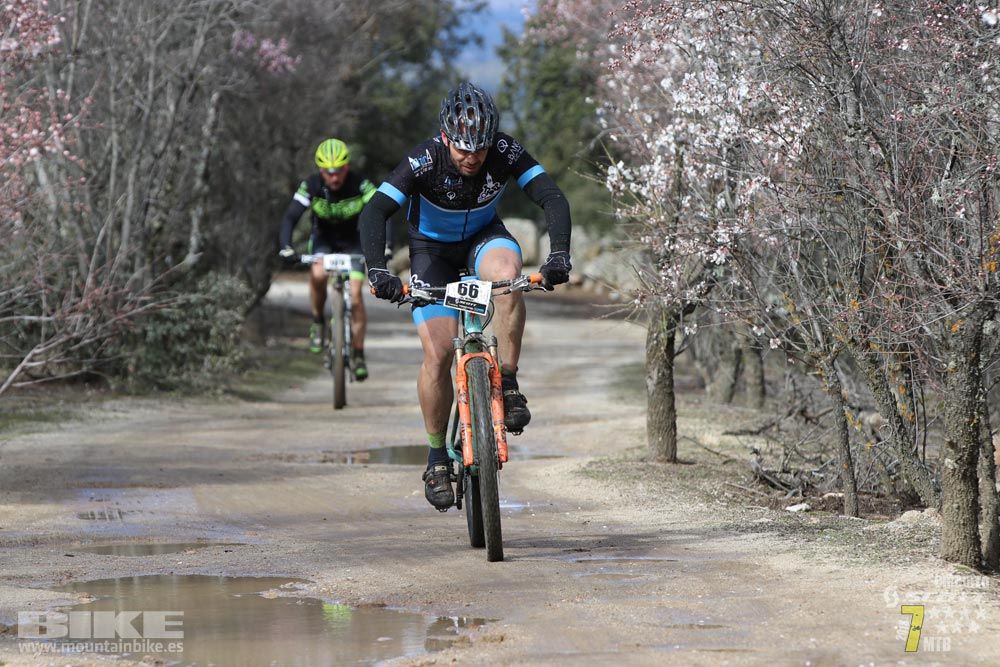 Ruta de la miel. Colmenarejo. Circuito Scott 7 Estrellas 2018. Galería 1