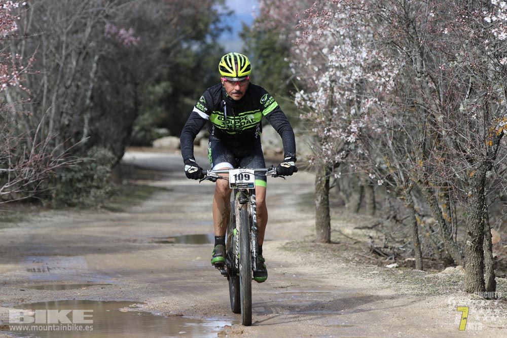 Ruta de la miel. Colmenarejo. Circuito Scott 7 Estrellas 2018. Galería 1