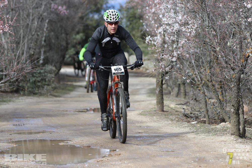 Ruta de la miel. Colmenarejo. Circuito Scott 7 Estrellas 2018. Galería 1
