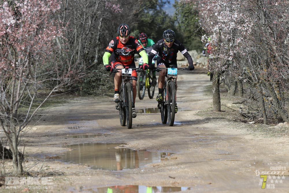 Ruta de la miel. Colmenarejo. Circuito Scott 7 Estrellas 2018. Galería 1