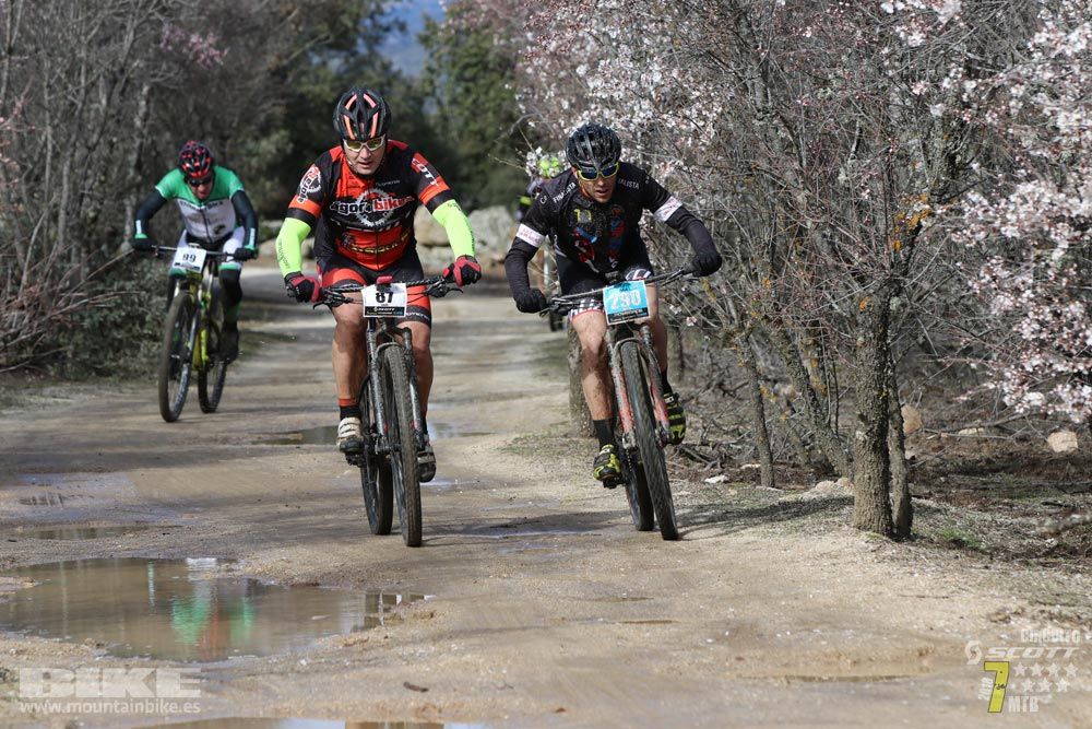 Ruta de la miel. Colmenarejo. Circuito Scott 7 Estrellas 2018. Galería 1