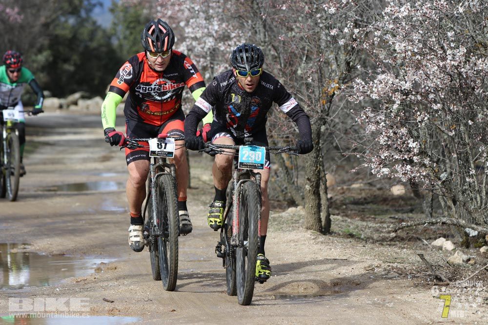 Ruta de la miel. Colmenarejo. Circuito Scott 7 Estrellas 2018. Galería 1
