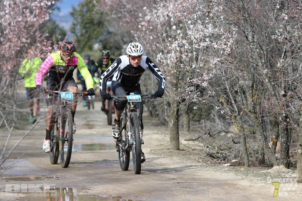 Ruta de la miel. Colmenarejo. Circuito Scott 7 Estrellas 2018. Galería 1