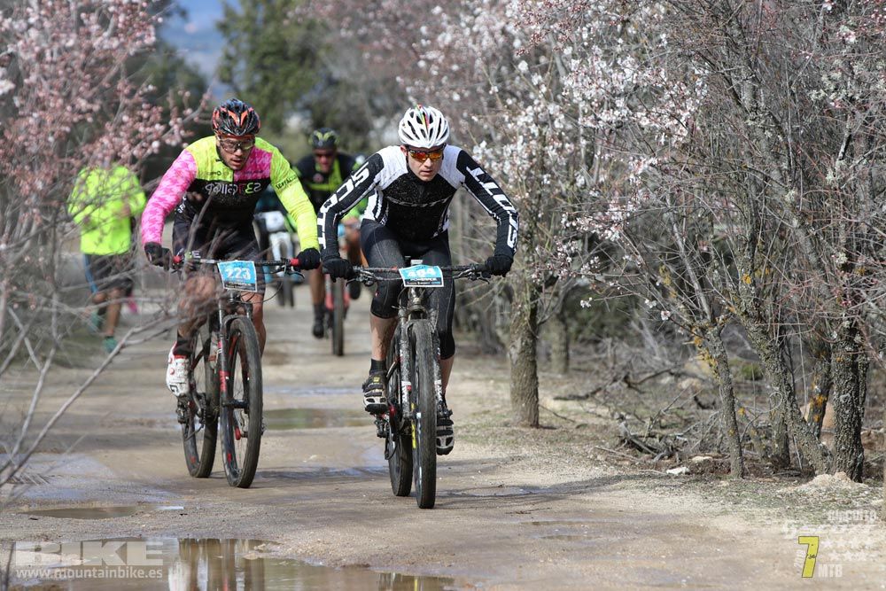 Ruta de la miel. Colmenarejo. Circuito Scott 7 Estrellas 2018. Galería 1