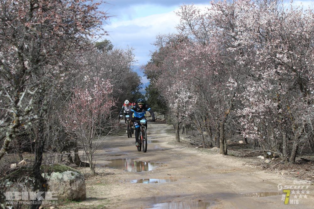 Ruta de la miel. Colmenarejo. Circuito Scott 7 Estrellas 2018. Galería 1