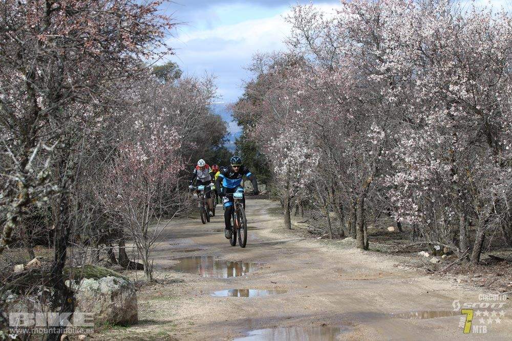Ruta de la miel. Colmenarejo. Circuito Scott 7 Estrellas 2018. Galería 1