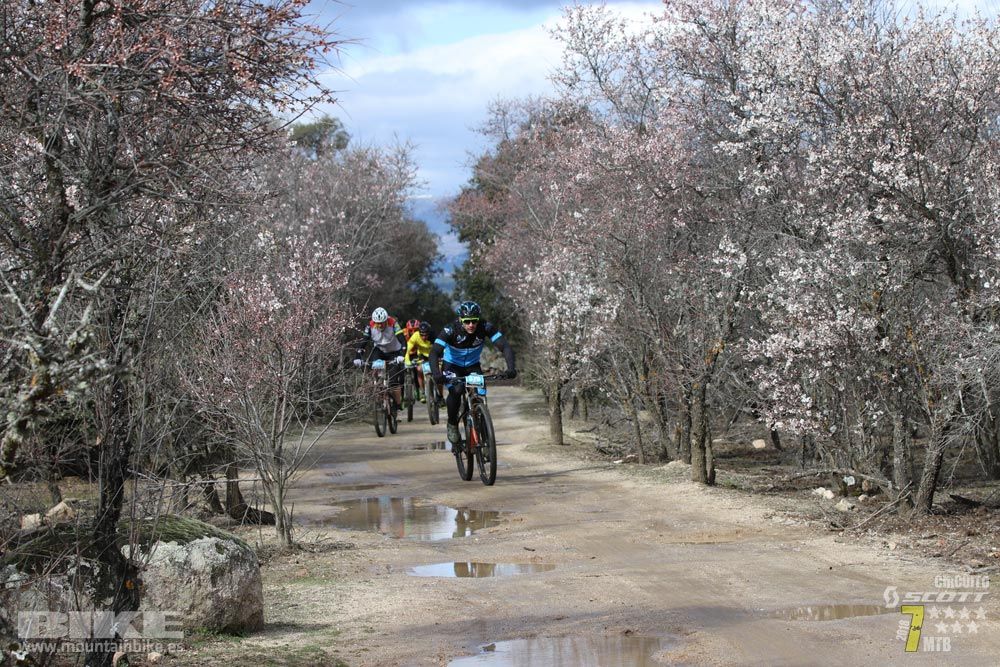Ruta de la miel. Colmenarejo. Circuito Scott 7 Estrellas 2018. Galería 1