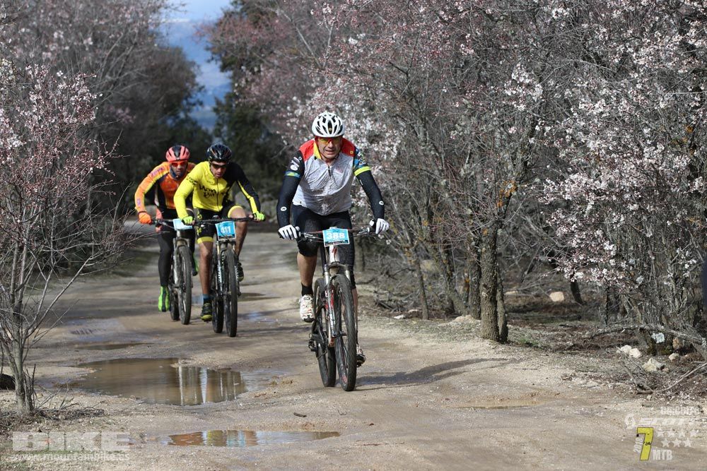 Ruta de la miel. Colmenarejo. Circuito Scott 7 Estrellas 2018. Galería 1