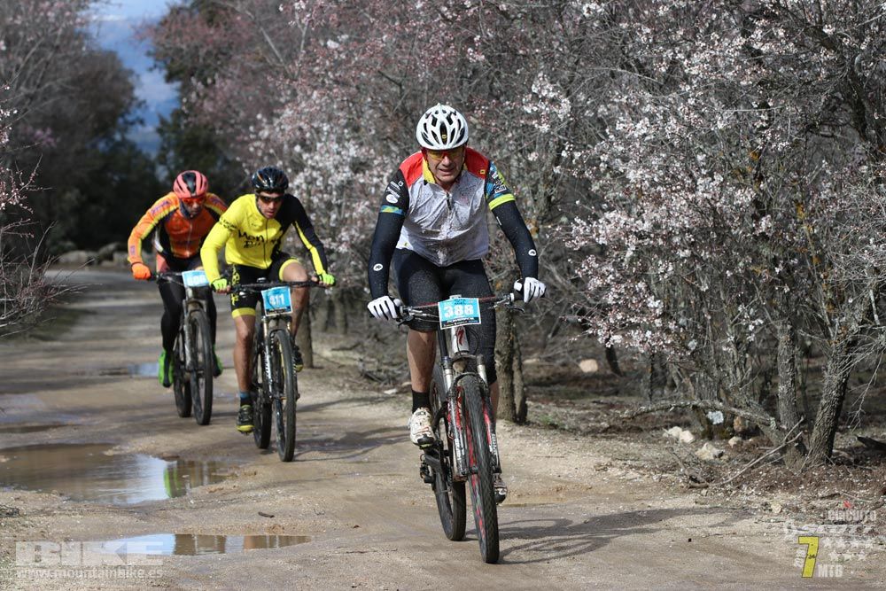Ruta de la miel. Colmenarejo. Circuito Scott 7 Estrellas 2018. Galería 1