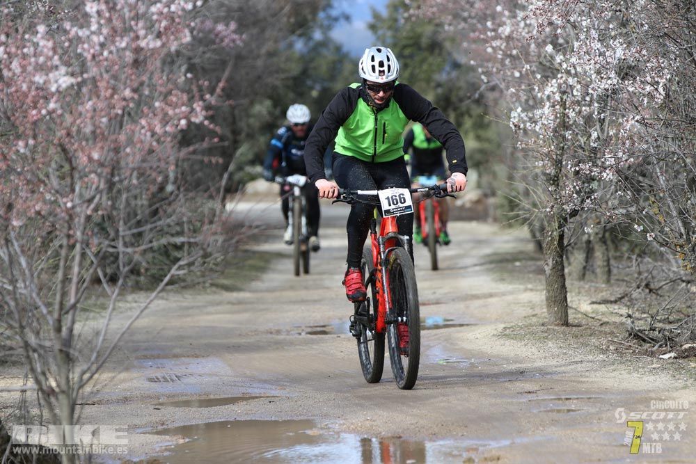 Ruta de la miel. Colmenarejo. Circuito Scott 7 Estrellas 2018. Galería 1