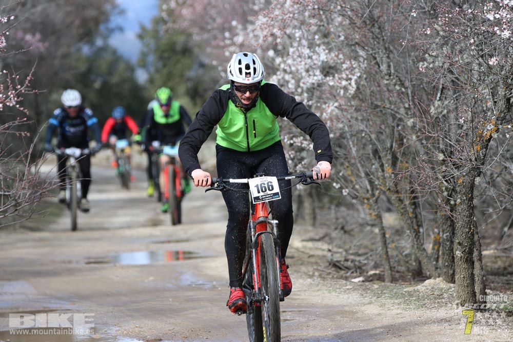 Ruta de la miel. Colmenarejo. Circuito Scott 7 Estrellas 2018. Galería 1