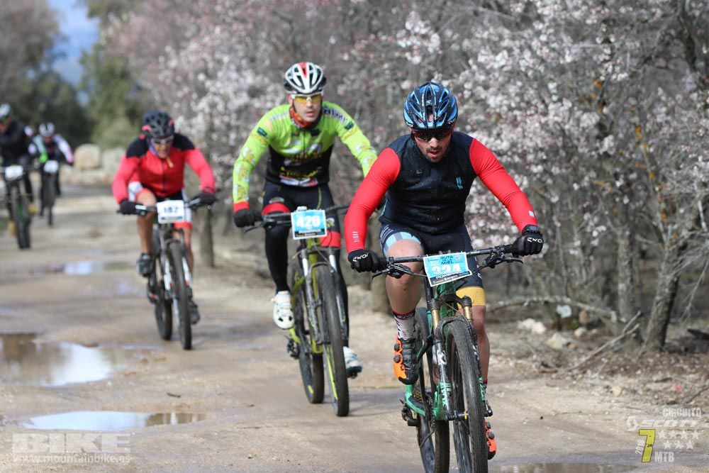 Ruta de la miel. Colmenarejo. Circuito Scott 7 Estrellas 2018. Galería 1
