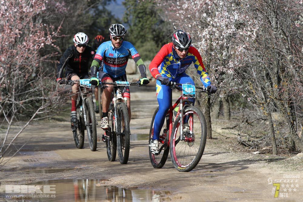 Ruta de la miel. Colmenarejo. Circuito Scott 7 Estrellas 2018. Galería 1