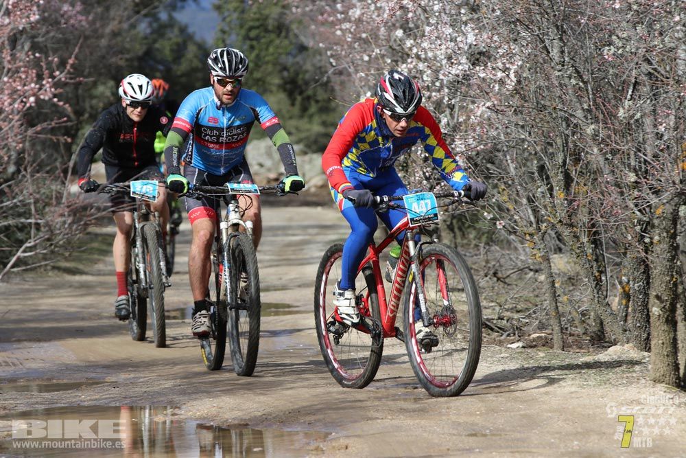 Ruta de la miel. Colmenarejo. Circuito Scott 7 Estrellas 2018. Galería 1