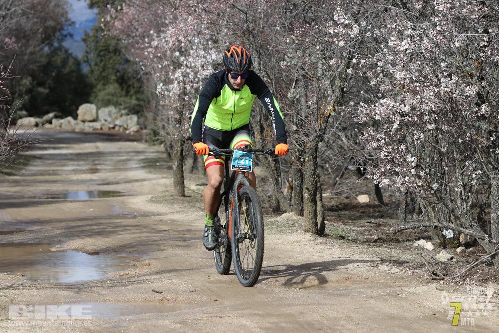 Ruta de la miel. Colmenarejo. Circuito Scott 7 Estrellas 2018. Galería 1