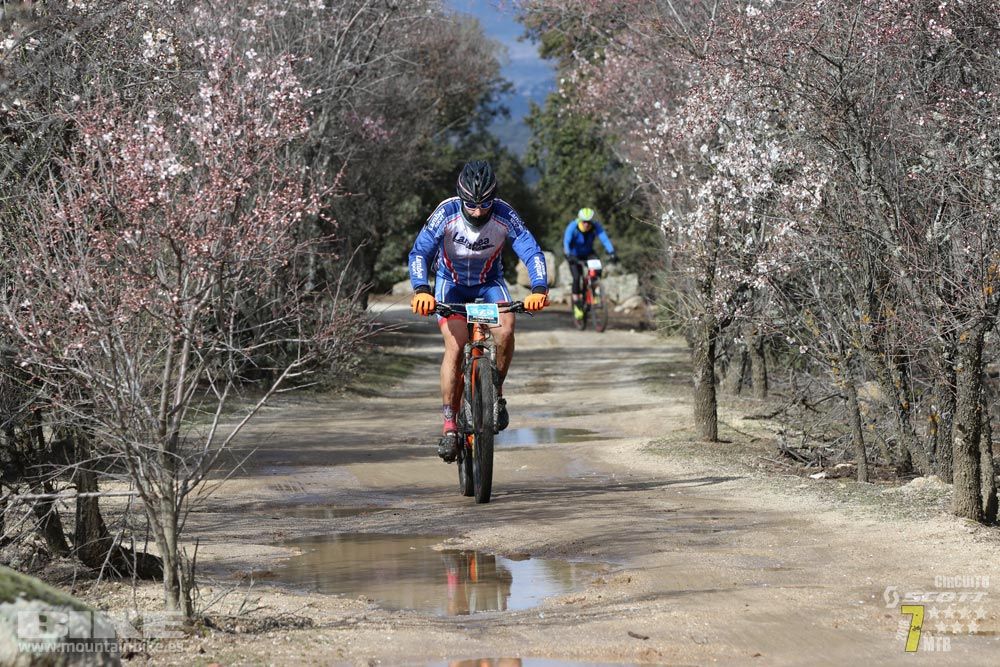 Ruta de la miel. Colmenarejo. Circuito Scott 7 Estrellas 2018. Galería 1