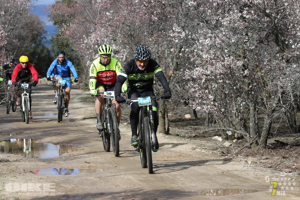 Ruta de la miel. Colmenarejo. Circuito Scott 7 Estrellas 2018. Galería 2