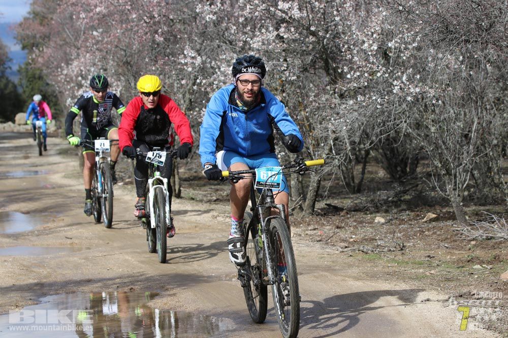 Ruta de la miel. Colmenarejo. Circuito Scott 7 Estrellas 2018. Galería 2