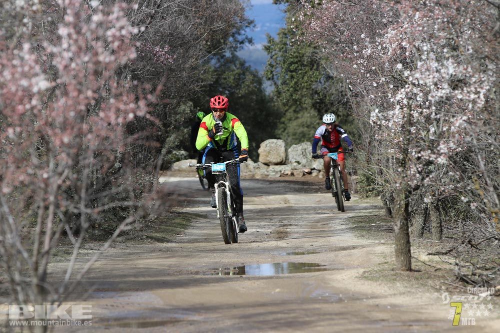 Ruta de la miel. Colmenarejo. Circuito Scott 7 Estrellas 2018. Galería 2