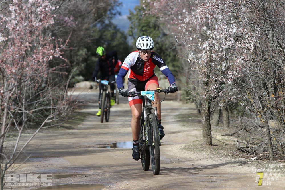 Ruta de la miel. Colmenarejo. Circuito Scott 7 Estrellas 2018. Galería 2