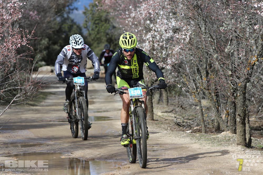 Ruta de la miel. Colmenarejo. Circuito Scott 7 Estrellas 2018. Galería 2