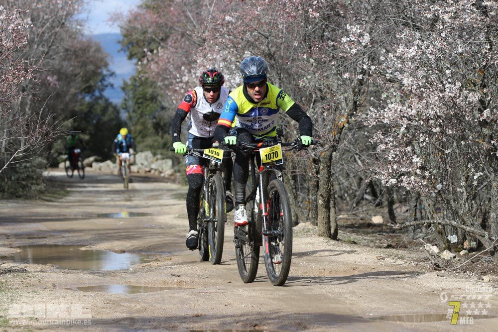 Ruta de la miel. Colmenarejo. Circuito Scott 7 Estrellas 2018. Galería 2