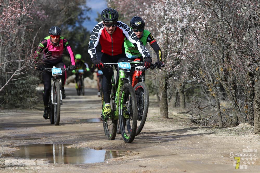 Ruta de la miel. Colmenarejo. Circuito Scott 7 Estrellas 2018. Galería 2