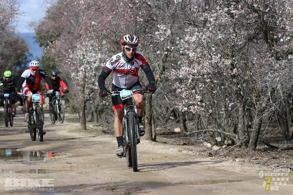 Ruta de la miel. Colmenarejo. Circuito Scott 7 Estrellas 2018. Galería 2