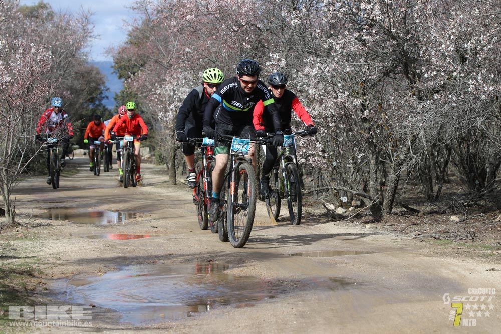 Ruta de la miel. Colmenarejo. Circuito Scott 7 Estrellas 2018. Galería 2