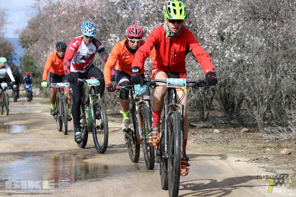 Ruta de la miel. Colmenarejo. Circuito Scott 7 Estrellas 2018. Galería 2