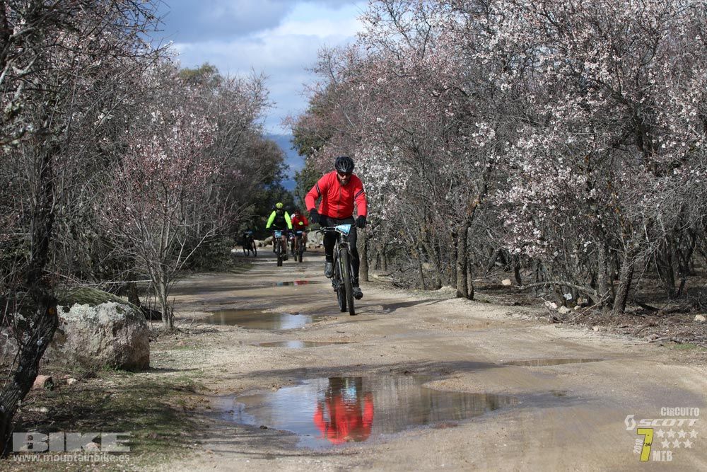 Ruta de la miel. Colmenarejo. Circuito Scott 7 Estrellas 2018. Galería 2