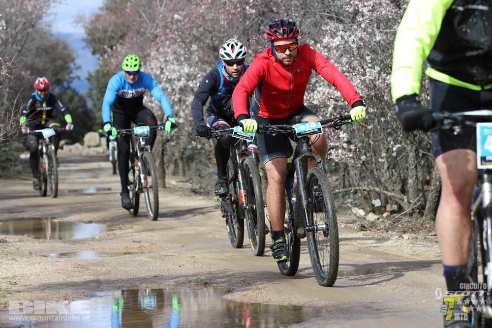 Ruta de la miel. Colmenarejo. Circuito Scott 7 Estrellas 2018. Galería 2