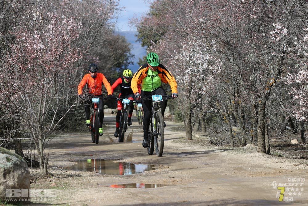 Ruta de la miel. Colmenarejo. Circuito Scott 7 Estrellas 2018. Galería 2
