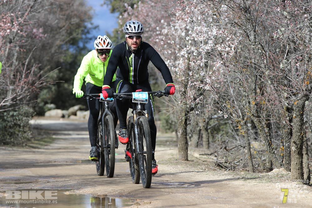 Ruta de la miel. Colmenarejo. Circuito Scott 7 Estrellas 2018. Galería 2