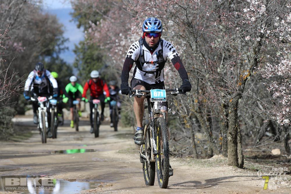 Ruta de la miel. Colmenarejo. Circuito Scott 7 Estrellas 2018. Galería 3