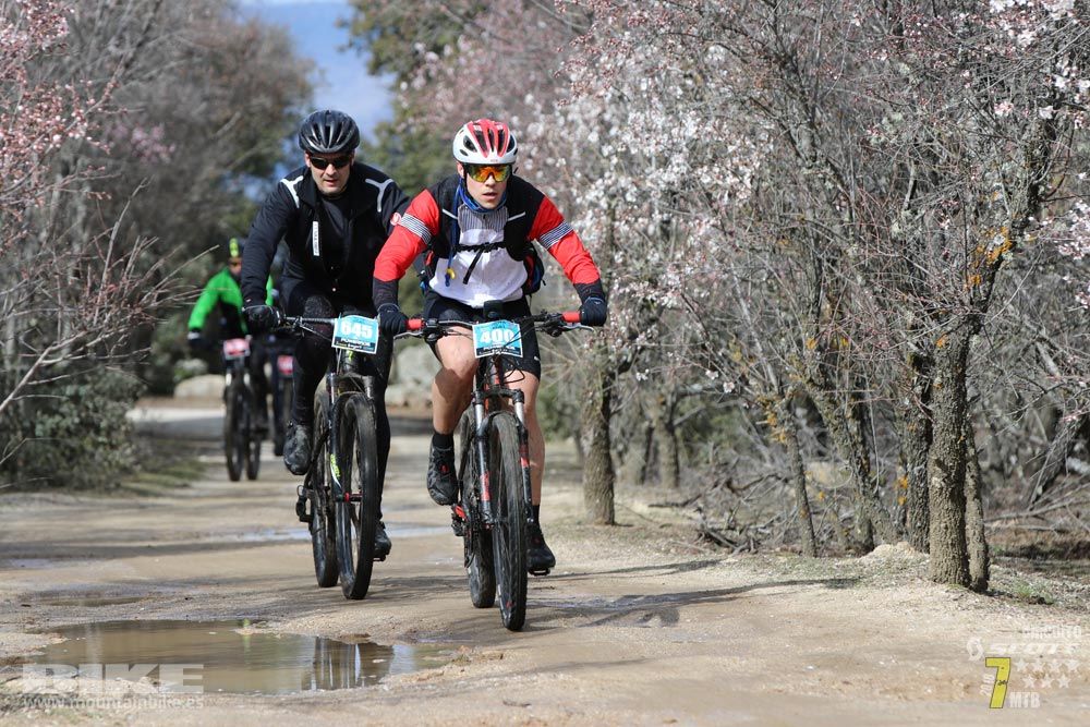 Ruta de la miel. Colmenarejo. Circuito Scott 7 Estrellas 2018. Galería 3