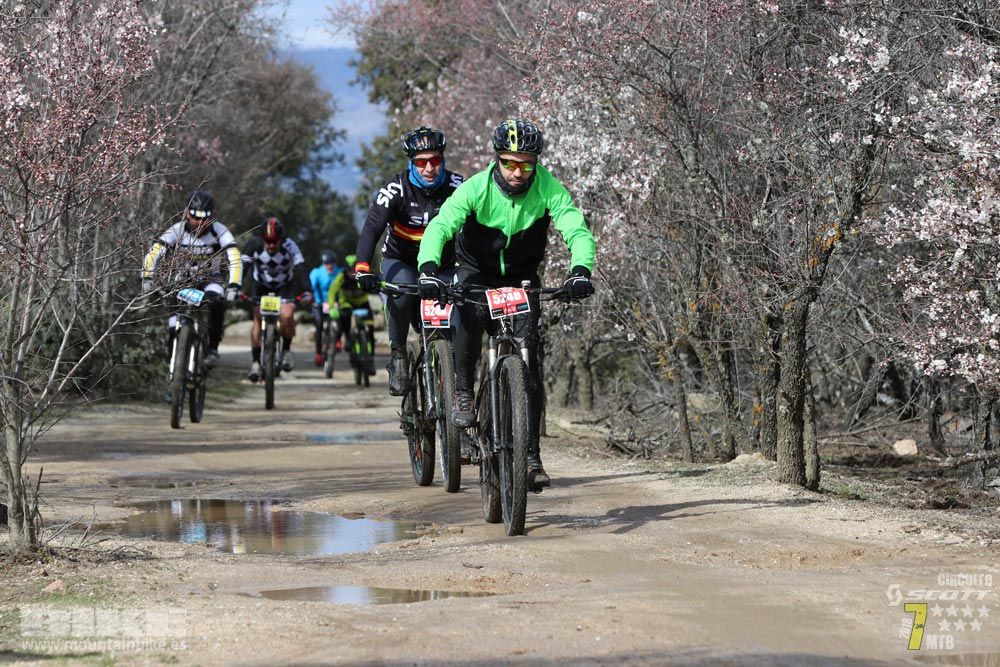 Ruta de la miel. Colmenarejo. Circuito Scott 7 Estrellas 2018. Galería 3
