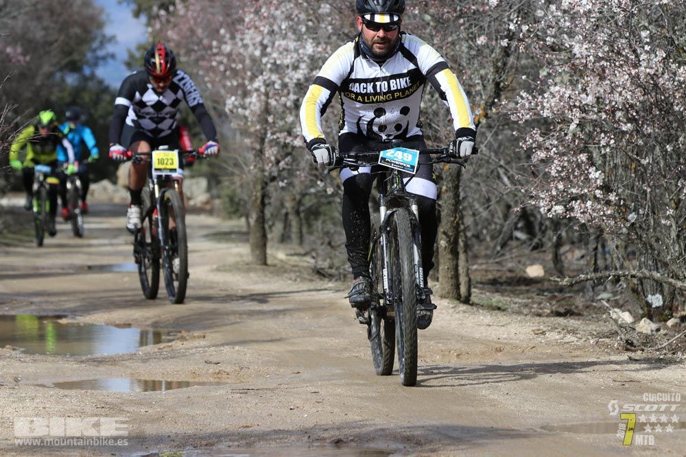 Ruta de la miel. Colmenarejo. Circuito Scott 7 Estrellas 2018. Galería 3