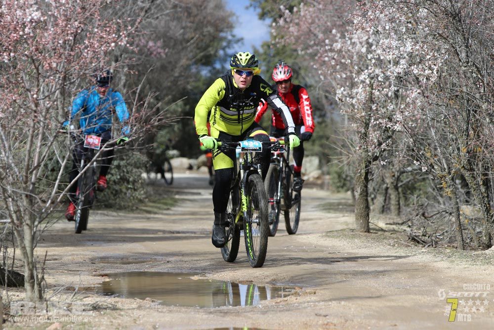 Ruta de la miel. Colmenarejo. Circuito Scott 7 Estrellas 2018. Galería 3