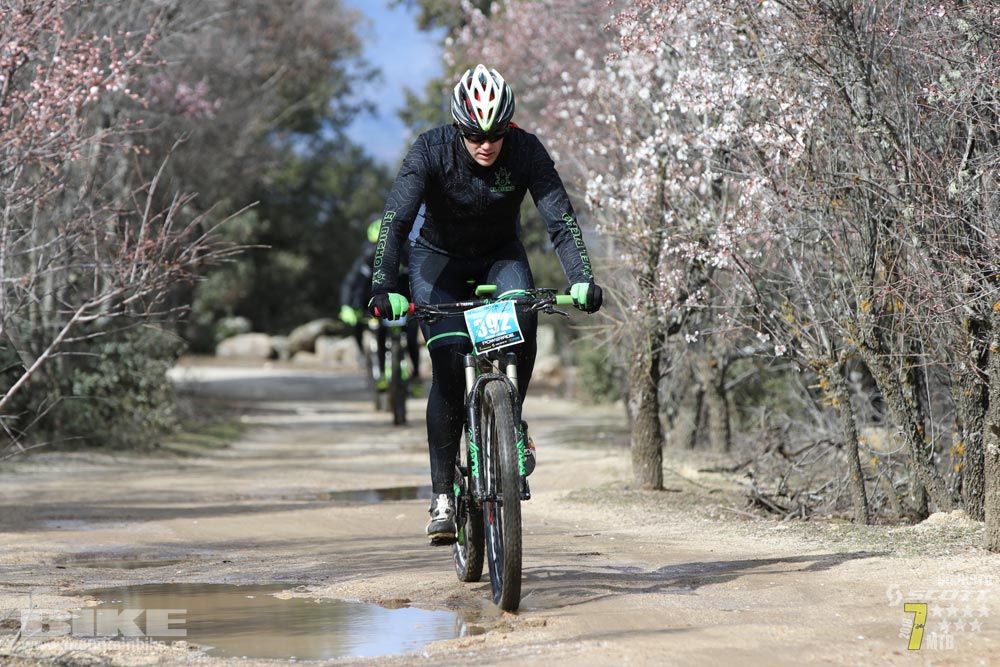Ruta de la miel. Colmenarejo. Circuito Scott 7 Estrellas 2018. Galería 3
